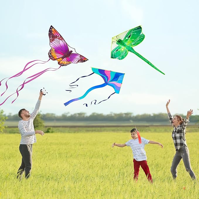 Large Kites for Adults Kites for Kids Ages 4-8， 8-12 Beach Park Outdoor Game Activities, Gifts for Easter and Festival