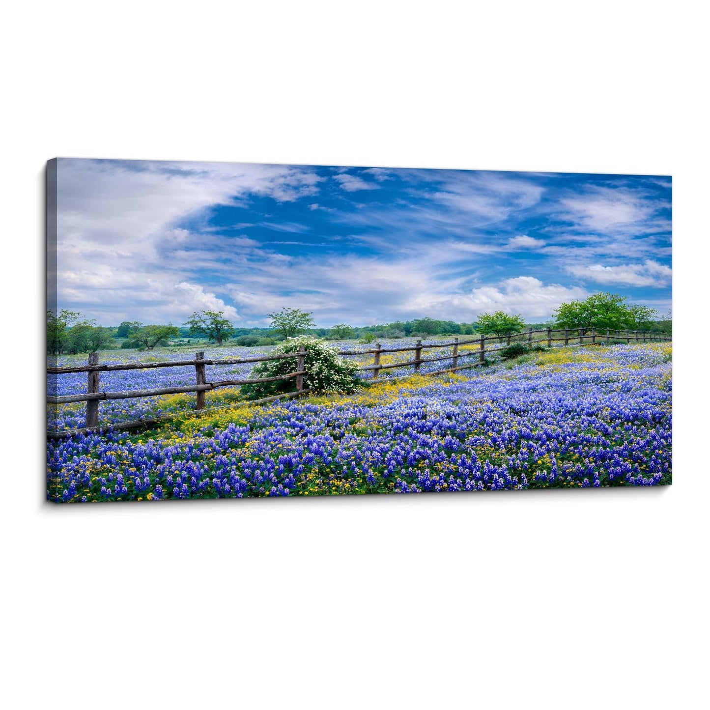 Large Framed Wall Art Ready to Hang 20" x 40" clouds over texas bluebonnets landscape stock pictures royalty free Canvas Print Artwork Wall Art Painting Pictures Home Office Wall Décor Modern Poster