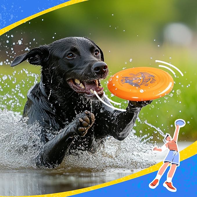 Wham-O Frisbee Go Flying Disc, 9 Inch Lightweight Sports Disc for Beginners Outdoor Beach Backyard Lawn Park Camping Family Activity Game - 70g