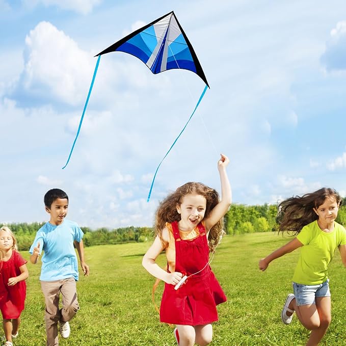 Delta Beginner Kite for Kids & Adults, Easy to Fly Beach Kite