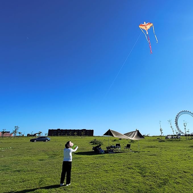 Mint's Colorful Life Dragon Kite for Kids & Adults, Easy to Fly Best Beach Kites for Beginners, 300ft Kite String Included