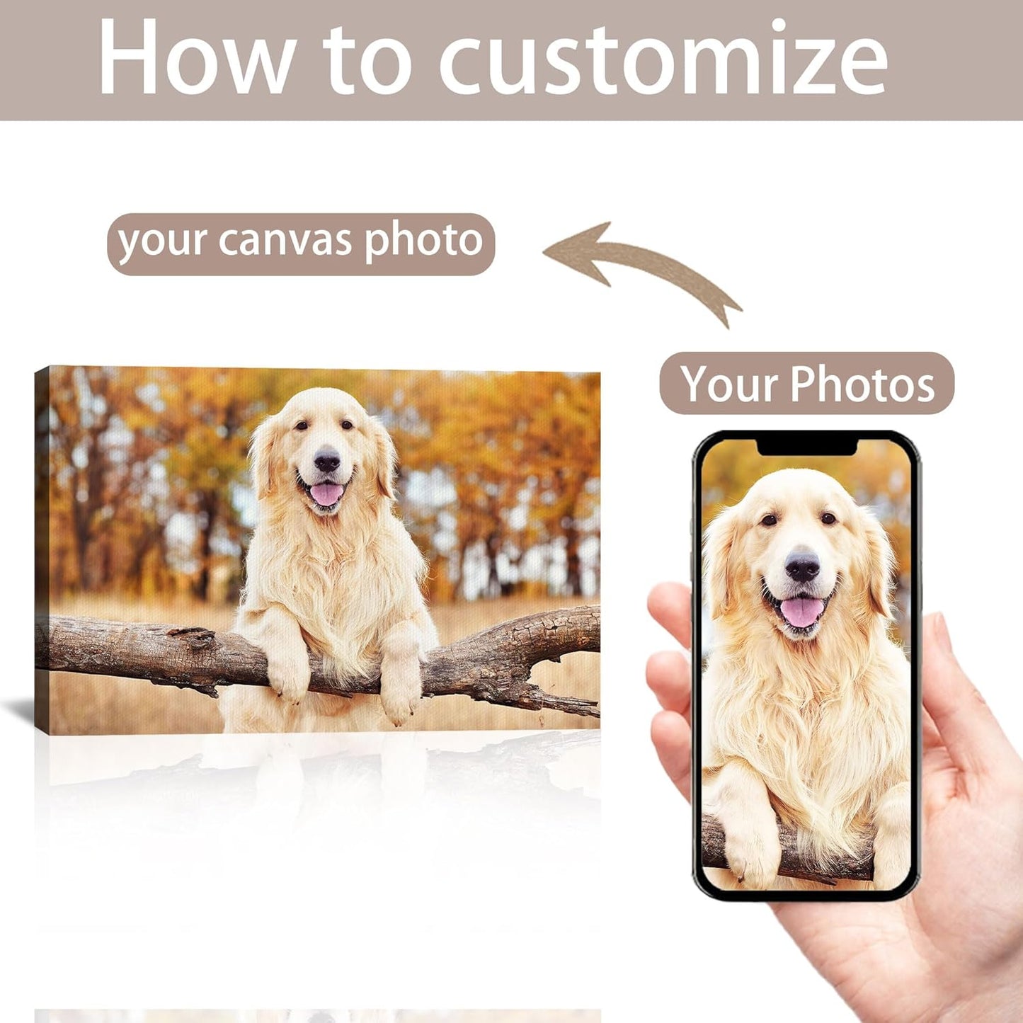 Skiennix Custom Canvas Prints - Personalized Photo Wall Art for Family & Pets | Framed 10x8