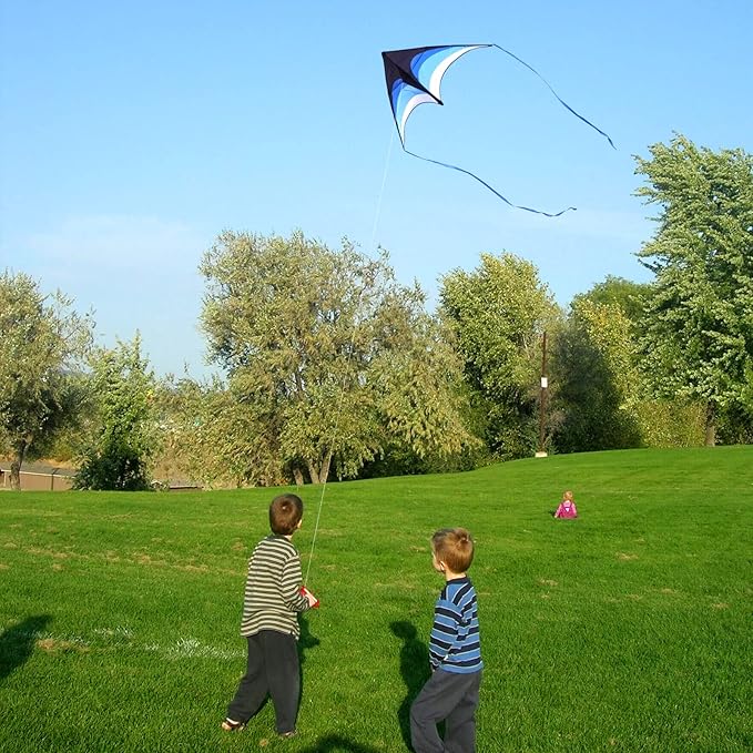 Mint's Colorful Life Delta Kite for Kids & Adults, Extremely Easy to Fly Kite, Best Kites for Beginner