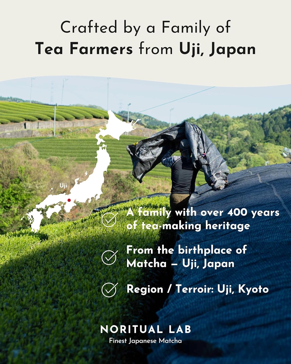 Uji Ceremonial Matcha - First Harvest Authentic Japanese Green Tea Powder - 1.05 oz