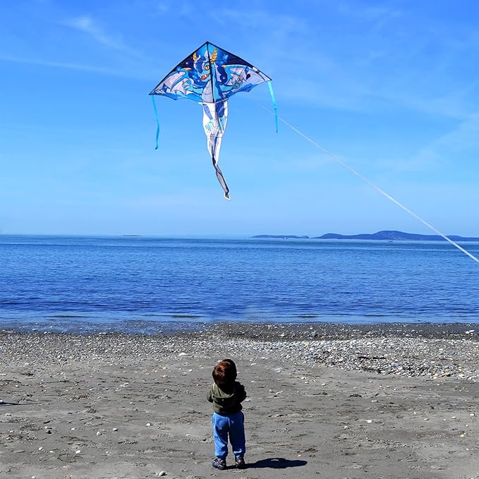 Delta Kite for Kids & Adults - Easy to Fly Large Single Line Beach Kite with 300ft String Handle Included, Perfect for Beginners, Teens