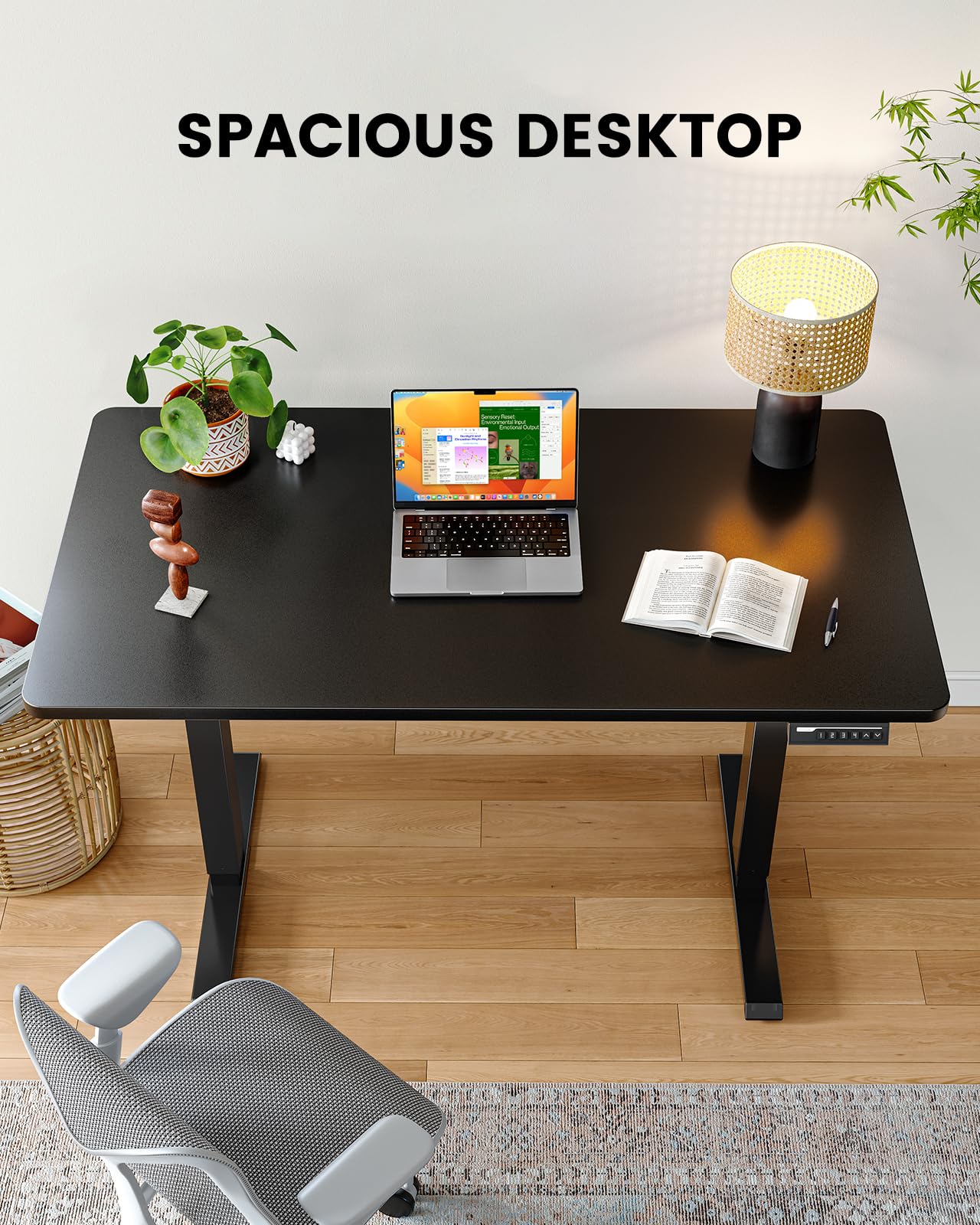 ErGear Whole Piece Standing Desk, Adjustable Stand Up Desk with Cable Management Tray, Electric Computer Workstation for Home Office, 48x24 inch, Black, EGESD64B
