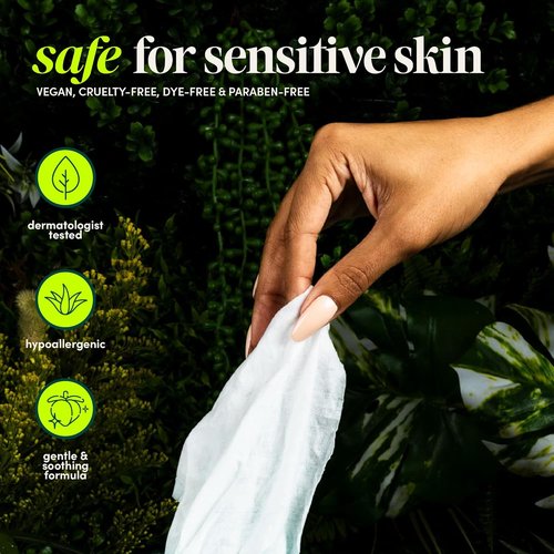 Goodwipes Flushable Wipes - Extra Large Adult Wet Wipes for On-the-Go Hygiene | Botanical Bliss & Lavender, 108 Count (6 Packs)