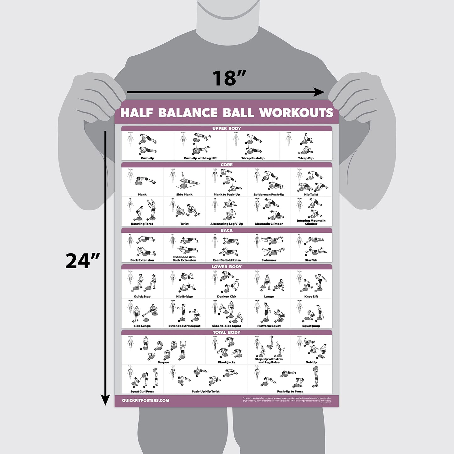 Palace Learning Half Balance Ball Workout Poster - Exercise Chart (LAMINATED, 18" x 24")
