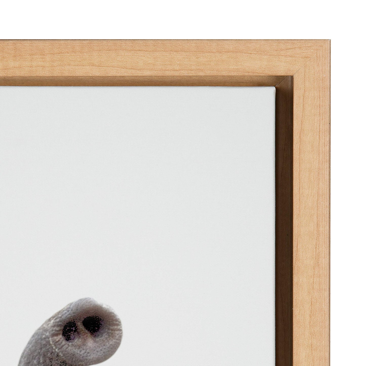 Kate and Laurel Sylvie Elephant with Raised Trunk Animal Print Portrait Framed Canvas Wall Art by Amy Peterson, 18x24 Natural