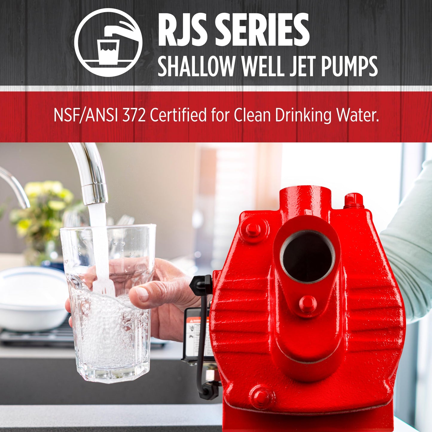 Red Lion RJS-100-PREM 1 HP, 23 GPM, 115/230 Volt, Premium Cast Iron Shallow Well Jet Pump, Red, 602208