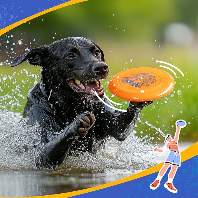 Wham-O Frisbee Go Flying Disc, 9 Inch Lightweight Sports Disc for Beginners Outdoor Beach Backyard Lawn Park Camping Family Activity Game - 70g