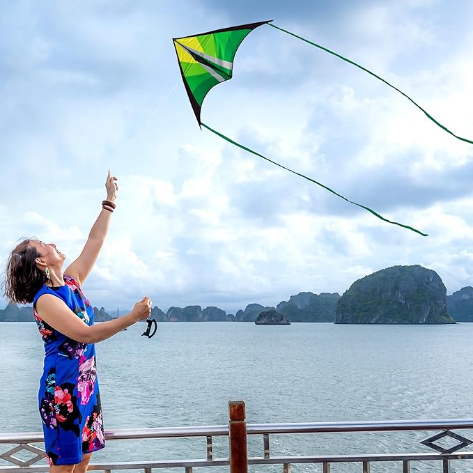 Delta Beginner Kite for Kids & Adults, Easy to Fly Beach Kite