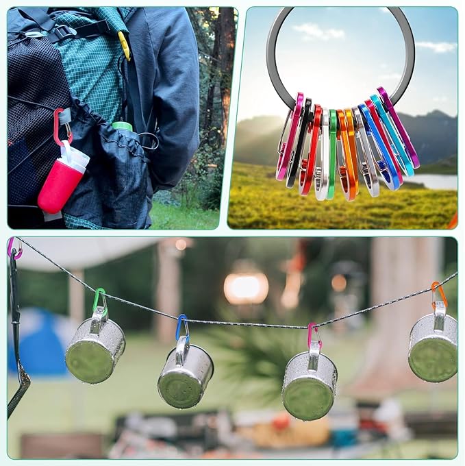 Carabiner, 2 inch D-Ring Locking Carabiner Clip, Snap Hook Sport Accessories for Outdoor Camping Hiking