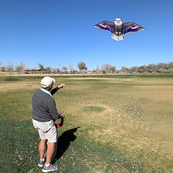 Bald Eagle Kite for Adults and Kids, Huge Kites Easy to Fly Single Line Kite for Beach Trip