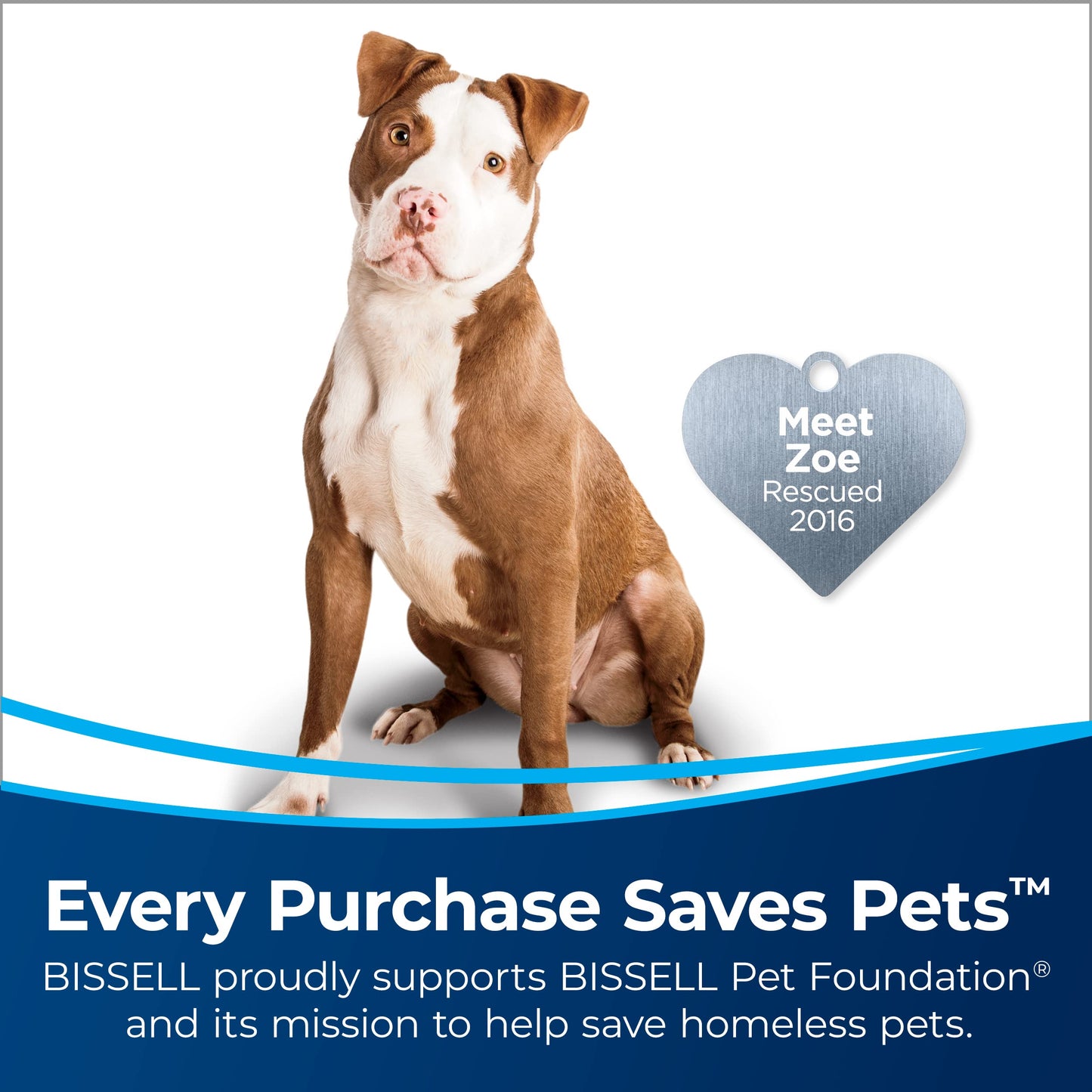 Bissell CleanView Swivel Pet Upright Vacuum, Swivel Steering for Maneuverability, Triple Action Brush Roll for Pet Hair, Large Capacity Dirt Tank & Scatter-Free Tech, 2252