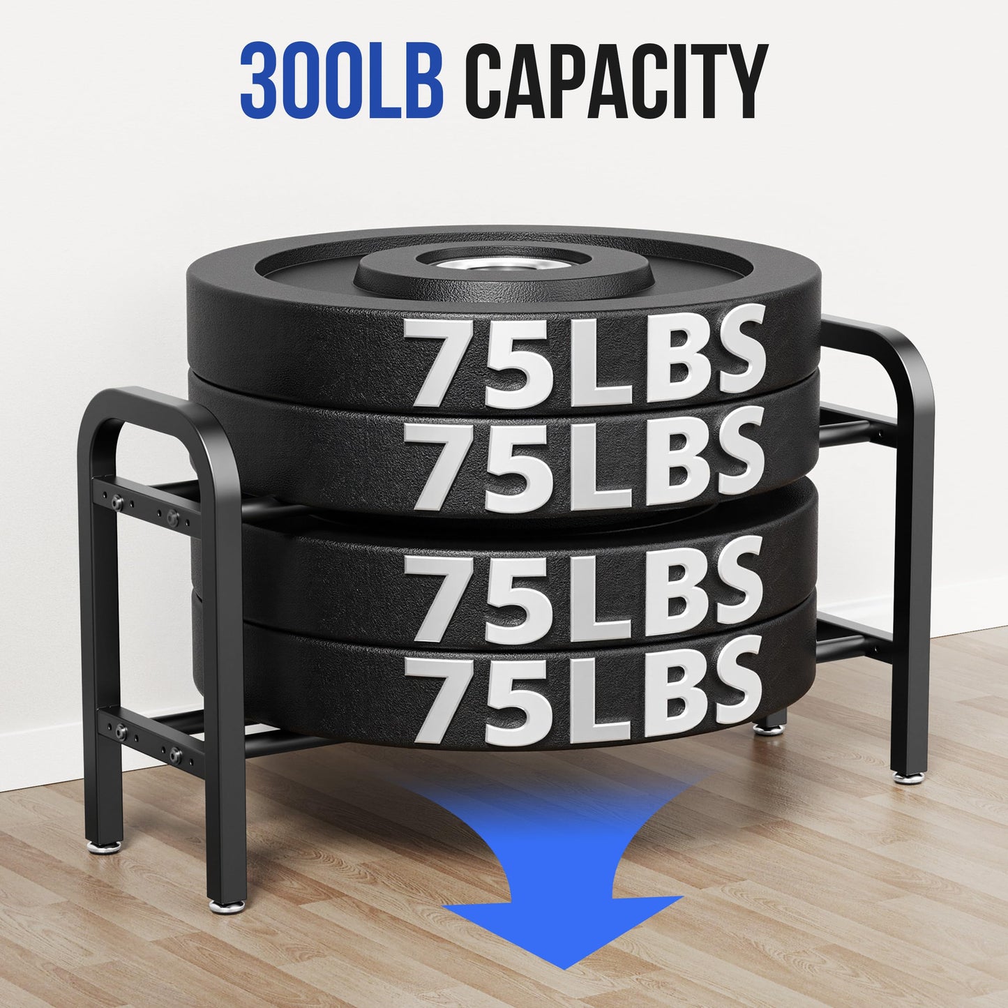 2 Tier Dumbbell Rack, Weight Rack for Home Gym, 300 lb Capacity