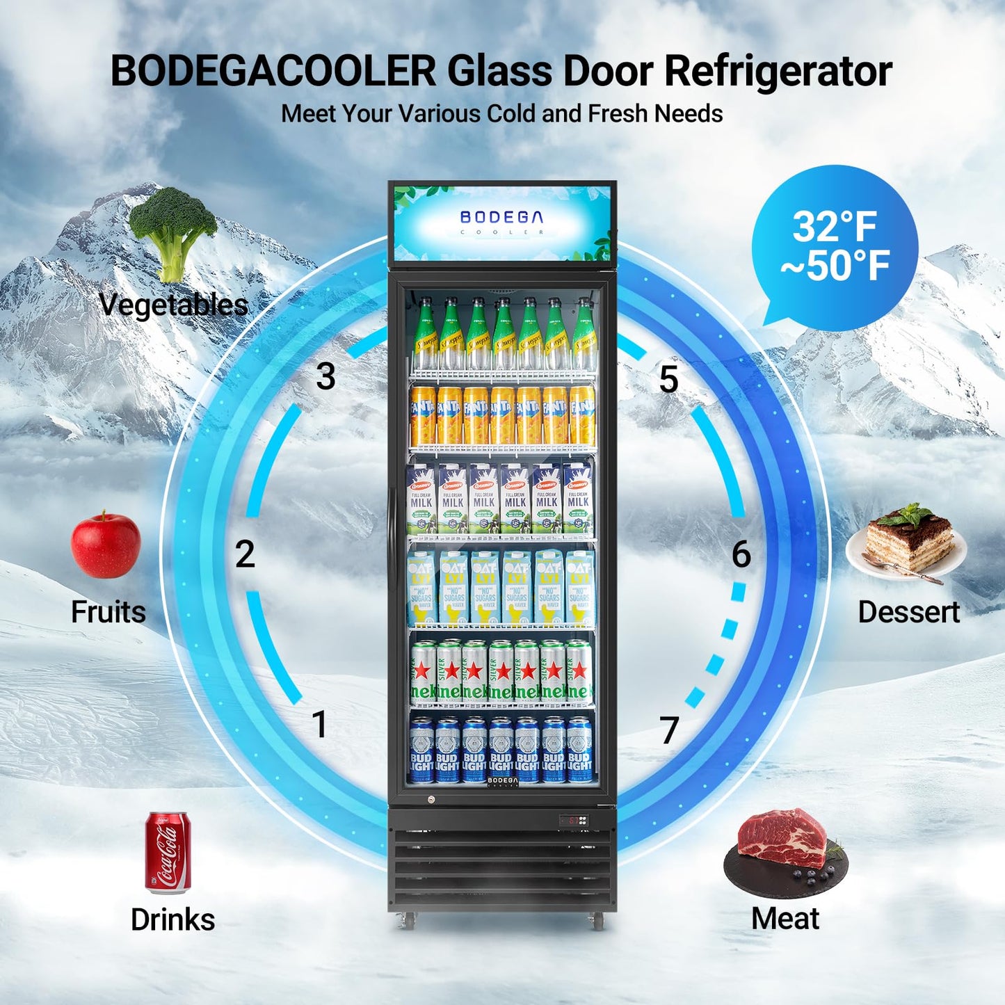 BODEGA BODEGACOOLER 15.5 Cu. Ft Commercial Beverage Refrigerator, Glass Door Upright Display Cooler, 420 Cans Drink Fridge with LED Light, 5 Adjustable Shelves, Lock, Black