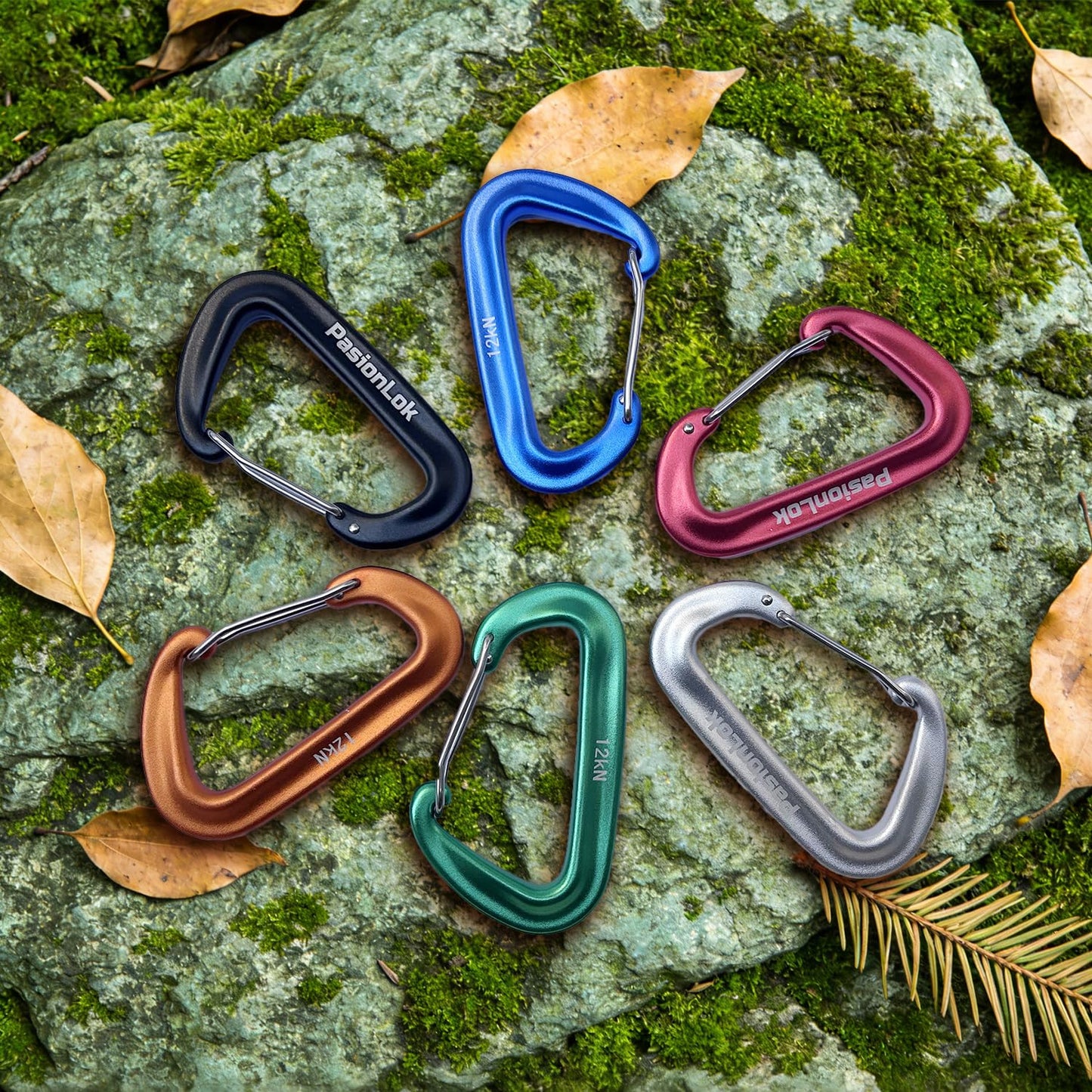 PasionLok Carabiner Clips Heavy Duty 12KN, 2 Pack Aluminum Carabiner Keychain, Small D Ring Hook for Hammock Camping Essentials, Backpack Key Ring Clip, Dog Leash, Multi Color