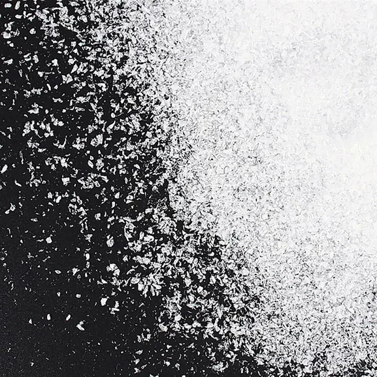 Skiennix Christmas Fake Snow | Sparkling White Artificial Flake Powder for Holiday Decor - 50g