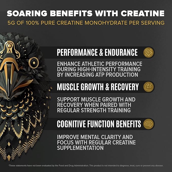Falcon Performance Vegan Protein Powder, 31g Protein, 5g Creatine, 5g BCAA, Probiotics, Electrolytes, Pre Workout, Low Carb, Sugar Free & Dairy Free, Plant Based Vanilla Protein - 49 Servings