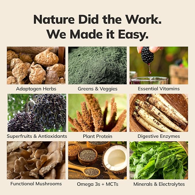 Ka?™Chava Whole Body Meal Shake Chai 2 lb ??Vegan Protein Powder with 85+ Superfoods & Greens ??Plant-Based Meal Replacement with Probiotics & Digestive Enzymes ??Gluten & Dairy Free (15 Servings)