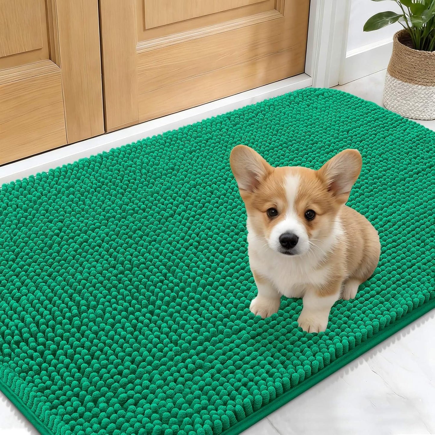 OLANLY Dog Door Mat - Absorbent Non-Slip Mud Mat for Indoor Use | Quick Dry Chenille, 24x16 Emerald Green