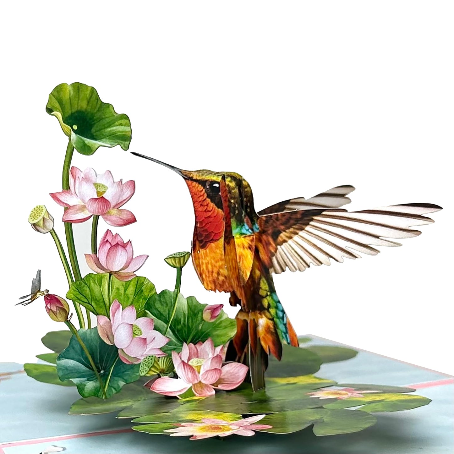 Pop Up Birthday Cards for Women, Hummingbird 3D Birthday Card, Beautiful Hummingbird and Lotus with Koi Fish Design, Pop Up Cards All Occasion for Mother, Mom, Her, Granmother and Daughter, Mothers Day Card