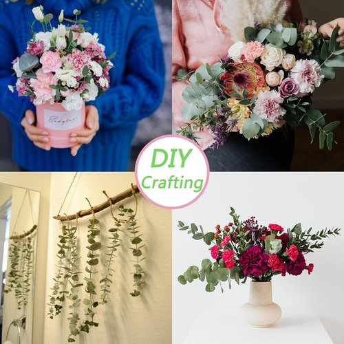 Eucalyptus | 10 Pcs Dried Eucalyptus Stems - 17" Real Fresh Leaves for Wedding & Home Decor