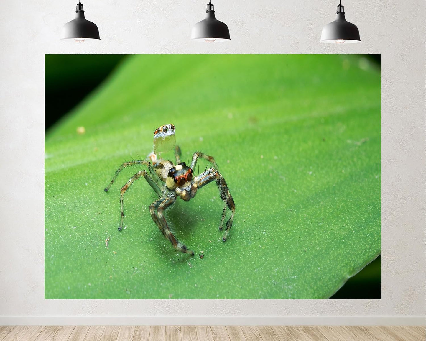 TryKid 9x6ft Jumping Spider Leaf Backdrop Macro Insect Green Plant Photography Background Science Education Nature