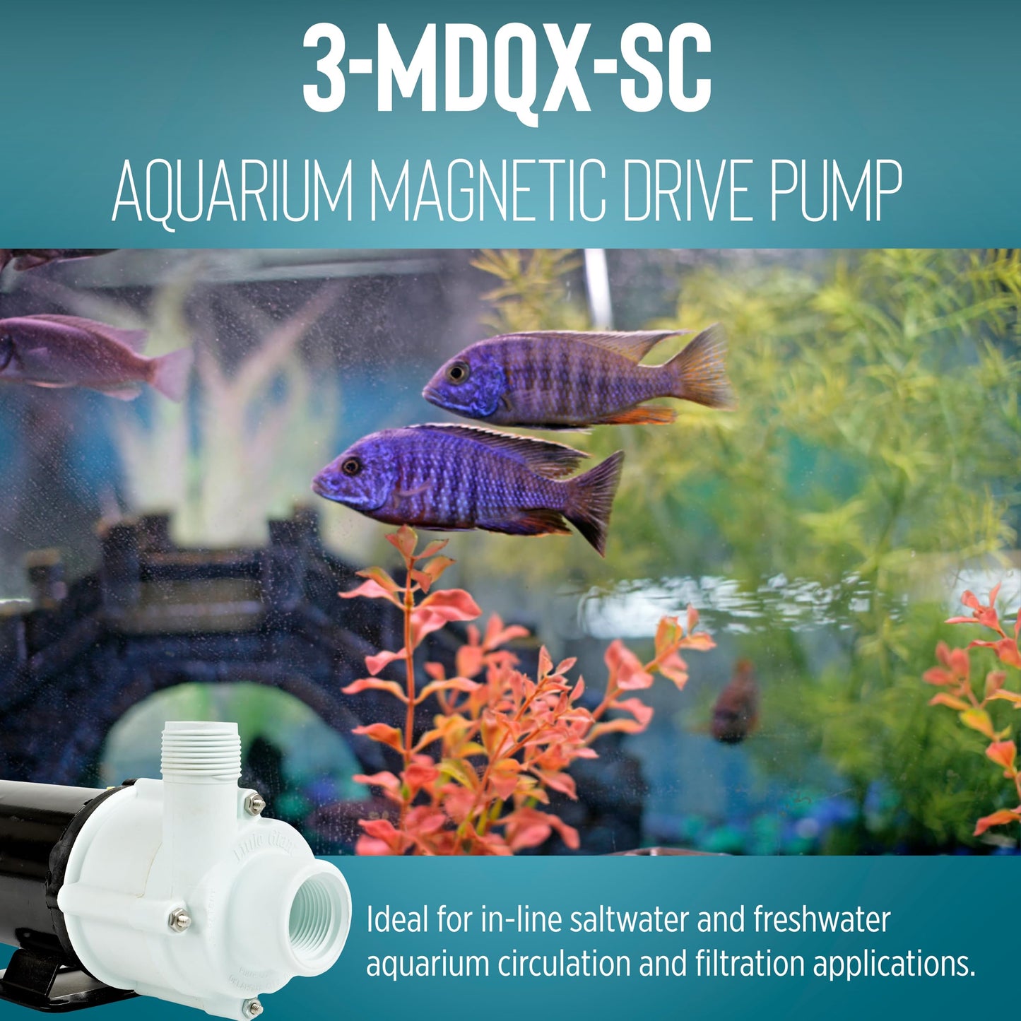 Little Giant 3-MDQX-SC 115-Volt, 1/15 HP, 1000 GPH, Non-Submersible Magnetic Drive Free Flow Aquarium Circulation Pump, 6-Ft. Cord, Black/White, 581507