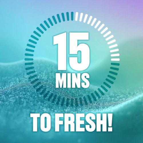 Clorox Refreshables | Spring Fresh Dryer Clothing Refresher - 30 Convenient Towelettes