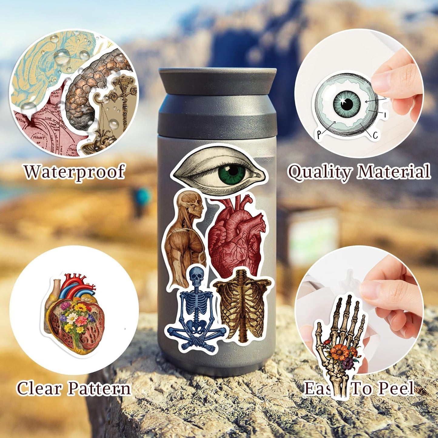 LOOAEFX 50PCS Pack, Vintage Anatomy Stickers - Medical Student Gift Biology Human Body Organ Vinyl Waterproof Decals