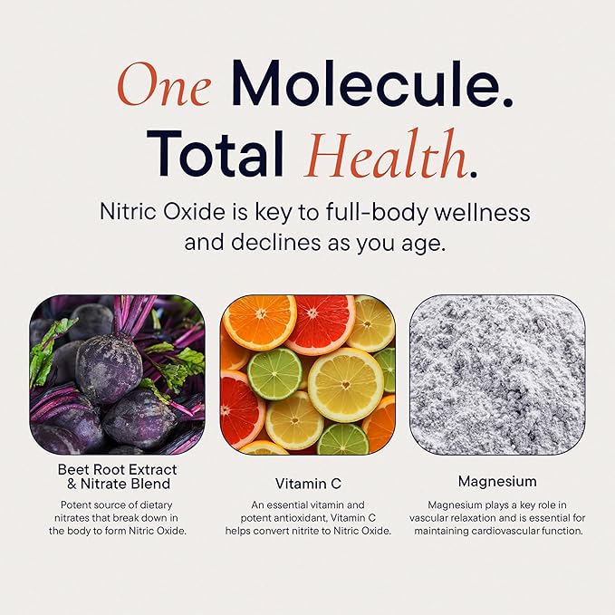 Berkeley Life Nitric Oxide Foundation, Full-Body Circulatory Support - Nitric Oxide Supplements for Men & Women - Beet Root Powder Supports Healthy Blood Pressure, Heart & Cardiovascular Health