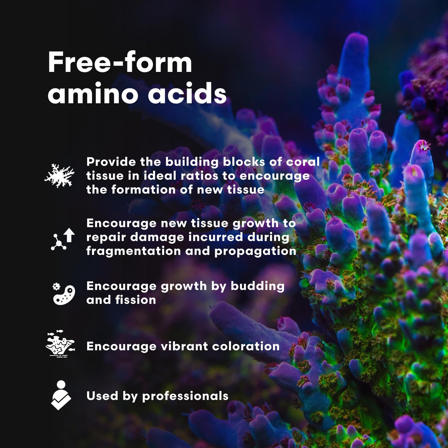 Brightwell Aquatics CoralAmino - Complex of Amino Acids for Corals - Coral Food for Aquarium Coral Growth - Saltwater Aquarium Treatments, 67.6 fl oz