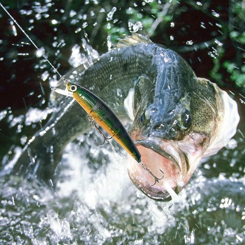 Fishing Advent Calendar 2025 by [Brand Name] - 24 Days of Fishing Lures & Tackle Set | Perfect Xmas Gift for Fishermen