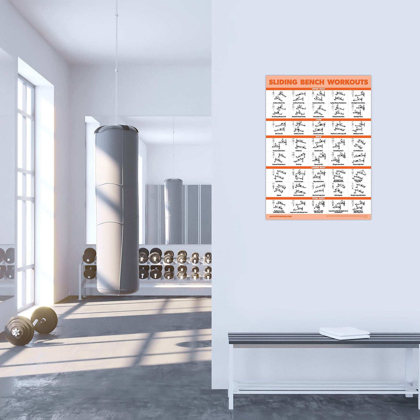 Palace Learning Sliding Bench Workout Poster - Compatible with Total Gym, Weider Ultimate Body Works - Incline Bench Exercise Chart [LIGHT] (LAMINATED, 18” x 24”)