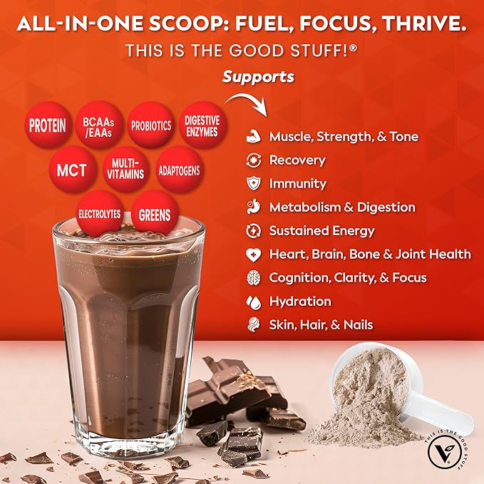 Veeg All in One Protein Smoothie Powder ??Plant Based Protein, Vegan Collagen, MCT Powder, Multivitamin, Greens Superfood Powder, Meal Replacement, Probiotics, Sugar Free,15 Servings (Chocolate)