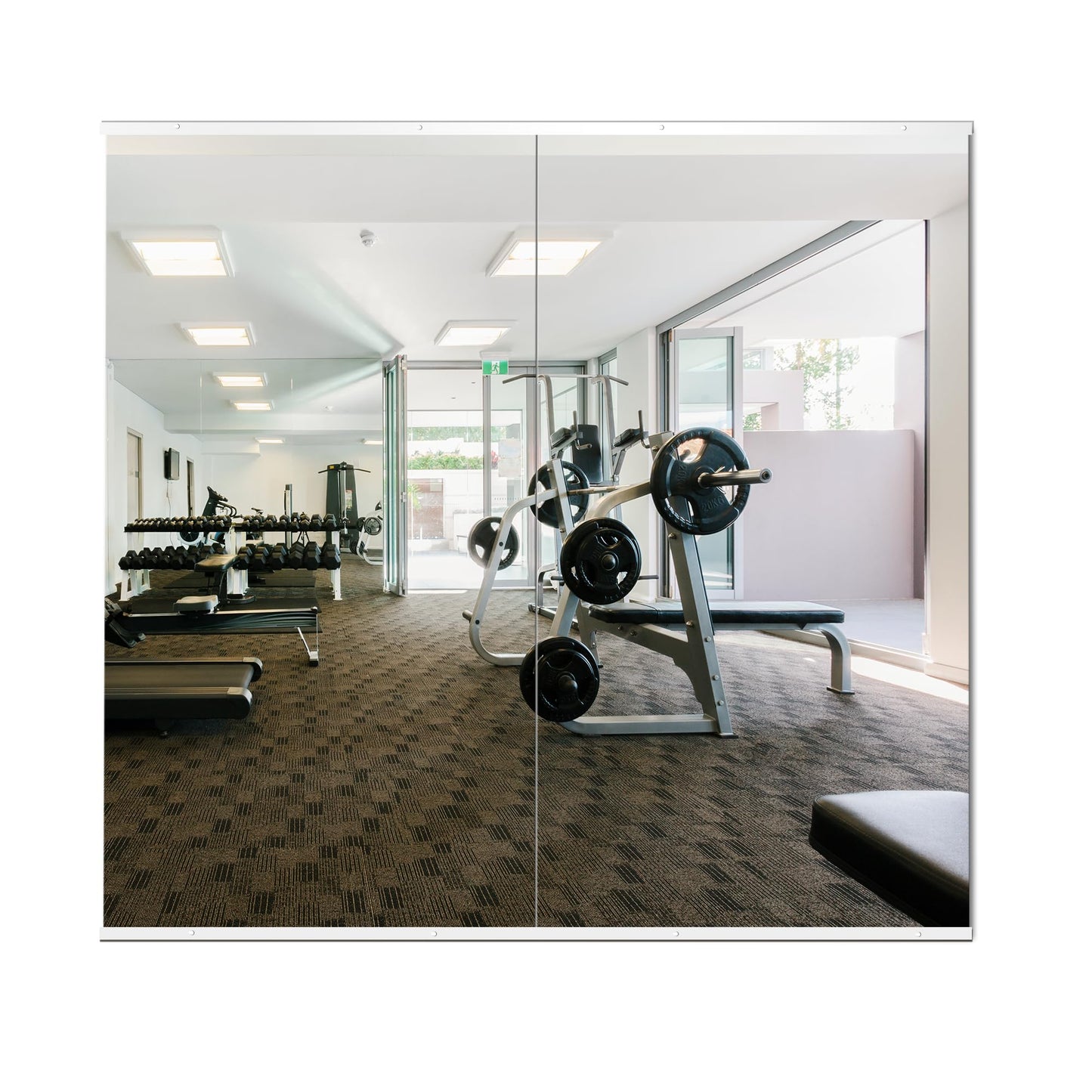 Delma Home Gym Mirror,54''x28''x2PCS,Large Full Body Tempered Glass Frameless, Wall-Mounted for Gym, Yoga, Garage, Bedroom, Bathroom