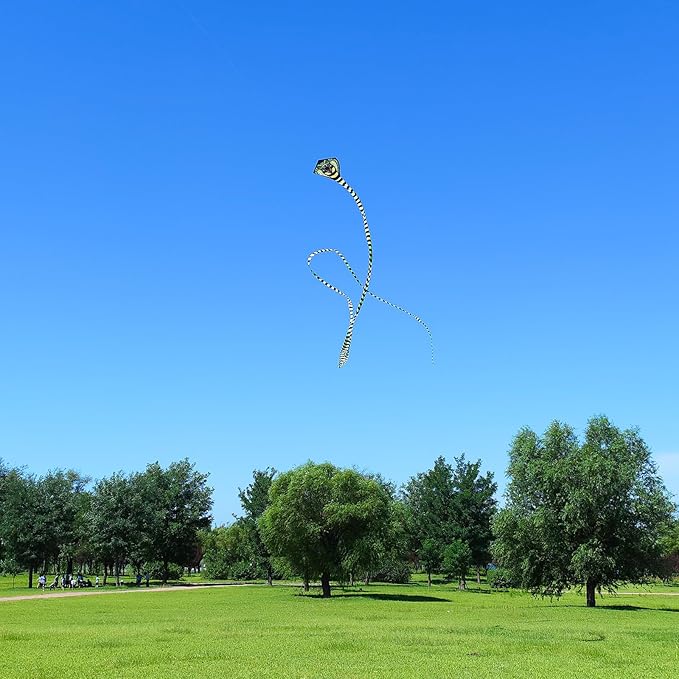 Large Cobra Kite for Adults Kids Boys with Super Long Tail, Extra Easy to Fly, Best Huge Kites for The Beach/Party/Field/Park, It Will Dominate The Sky!