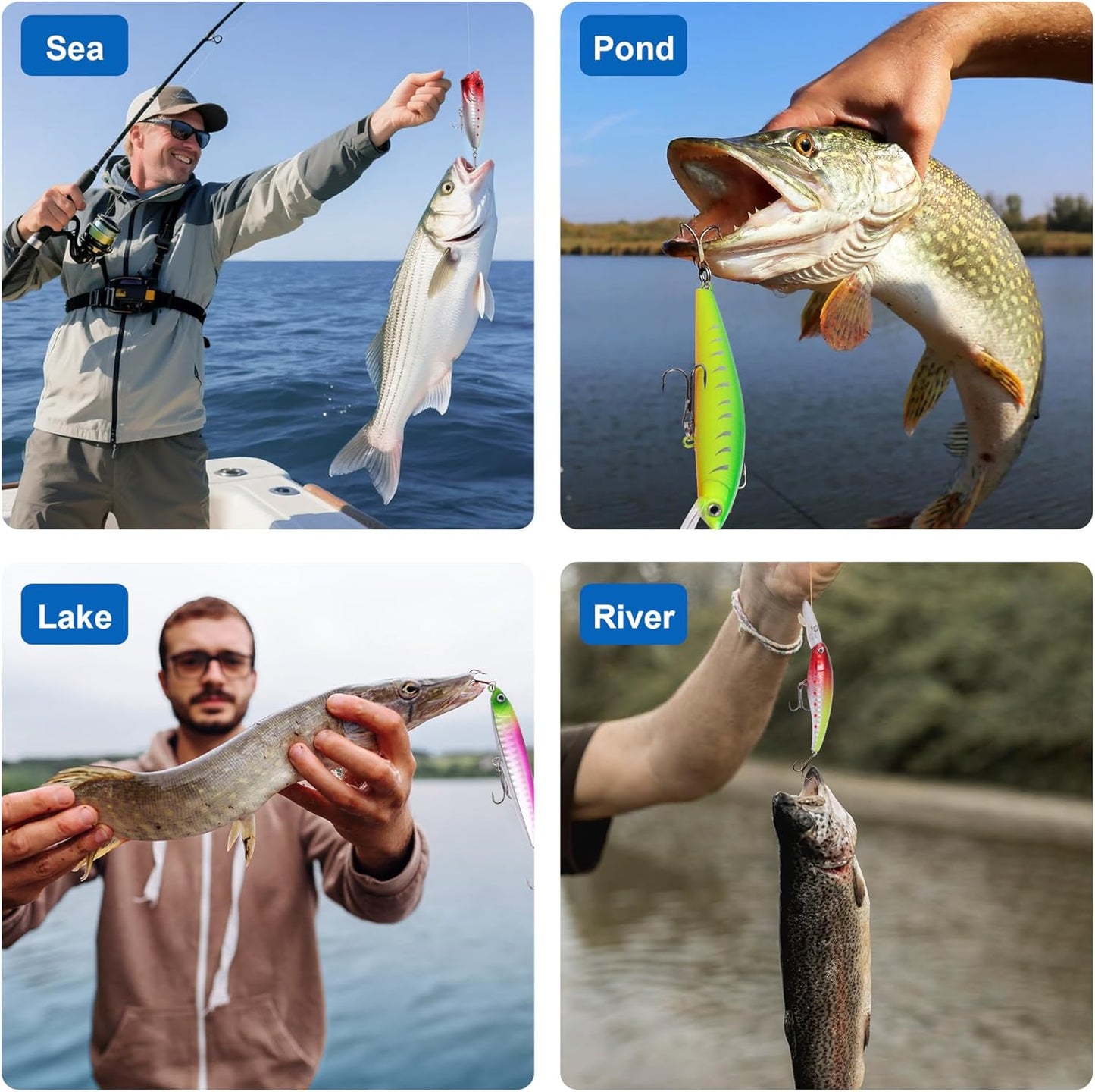 Skiennix Fishing Advent Calendar 2026 - 24 Days of Premium Fishing Lures for Anglers | Xmas Gift Set