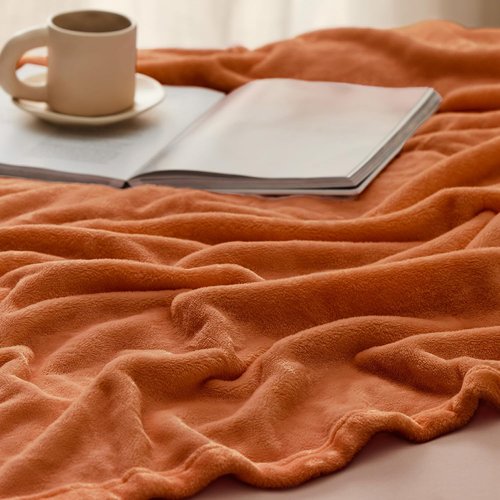 Bedsure GentleSoft Fleece Blanket - Queen Size 280GSM Plush, Lightweight & Cozy for Bed, Sofa, Travel