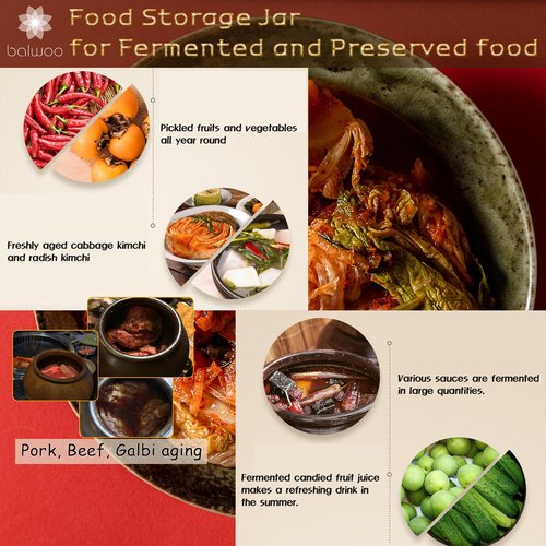 BALWOO Earthenware Onggi Korean Traditional Clay Jar Mini Ceramic Canister/Handmade Food Storage Container for Tea, Coffee Bean, Salt/Breathing Clay Pot Kimchi Fermentation Crock (2L(67.6oz))