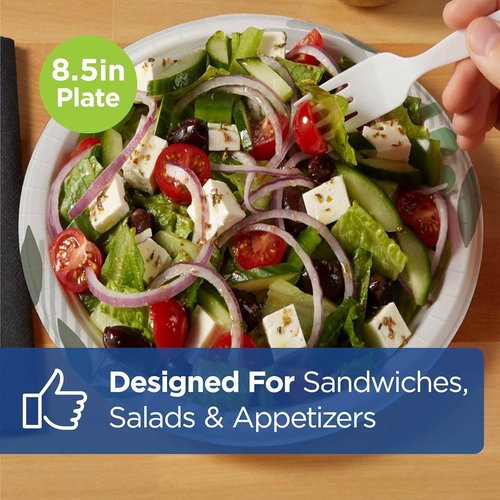 Dixie Disposable Paper Plates - Medium-Weight Pathways Design | 300 Count Bulk Case (6 Packs of 50)