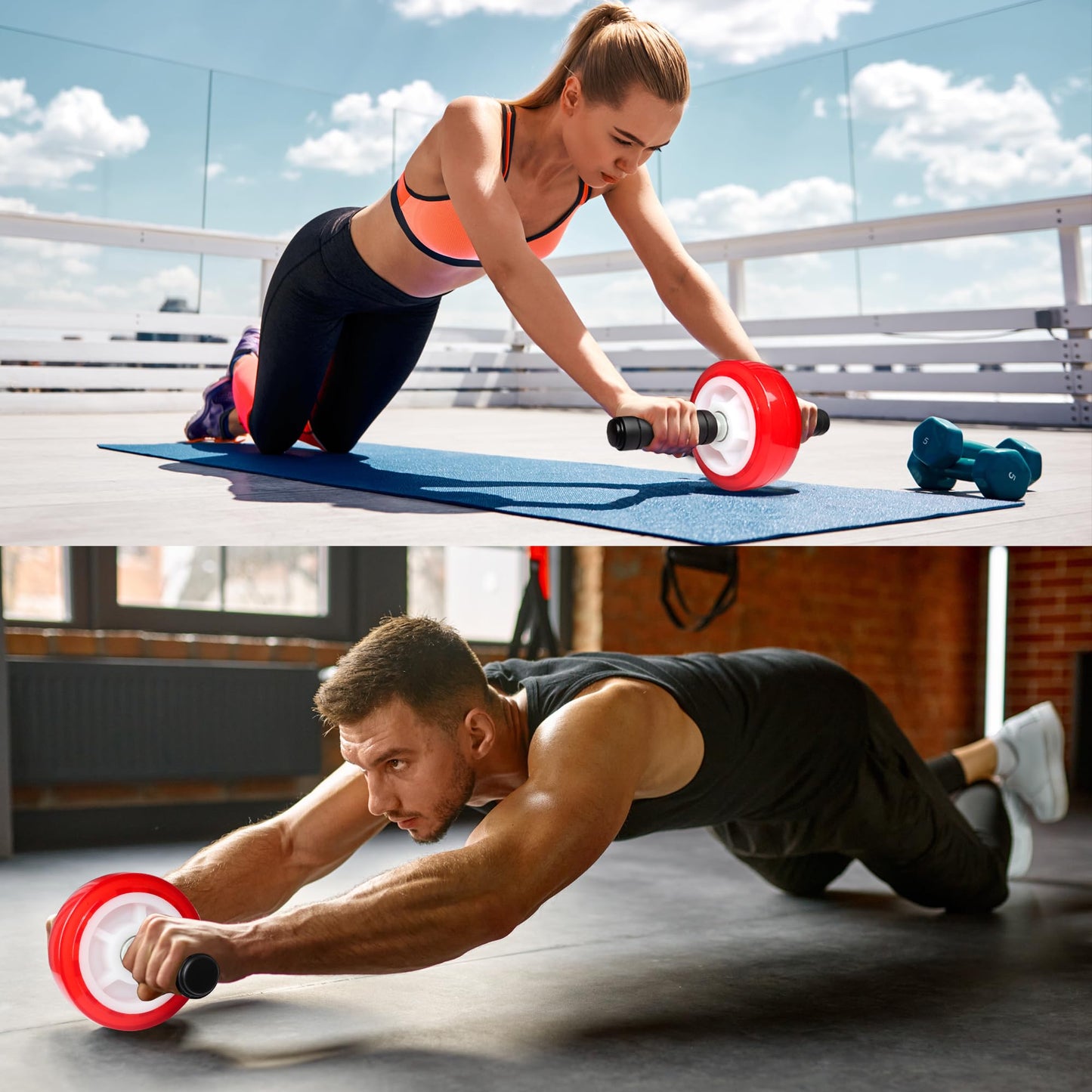 PALLOTH Ab Roller Wheel, Core Exercise Equipment - 880 lbs Weight Capacity, No Noise Ab Wheel for Home Gym Workout