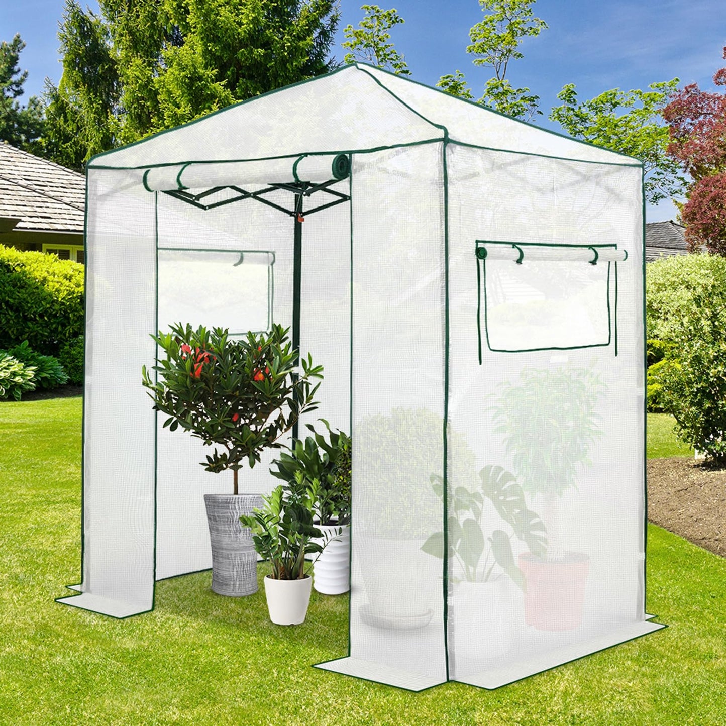 EAGLE PEAK 6x4 Portable Walk in Greenhouse, Pop Up Indoor Outdoor Greenhouse, Green House Kit with Zippered Roll-Up Doors and Windows, PE Cover, Clear/White