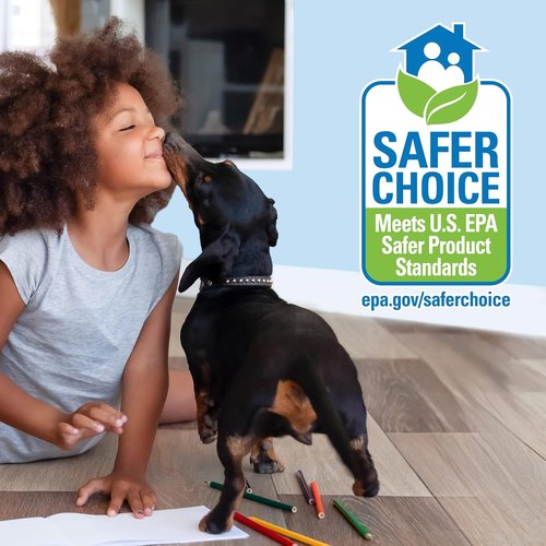 Bona Multi-Surface Floor Cleaner Spray - 32 Fl Oz - Unscented & Refillable | Residue-Free Solution for Stone, Tile, Laminate, Vinyl Floors