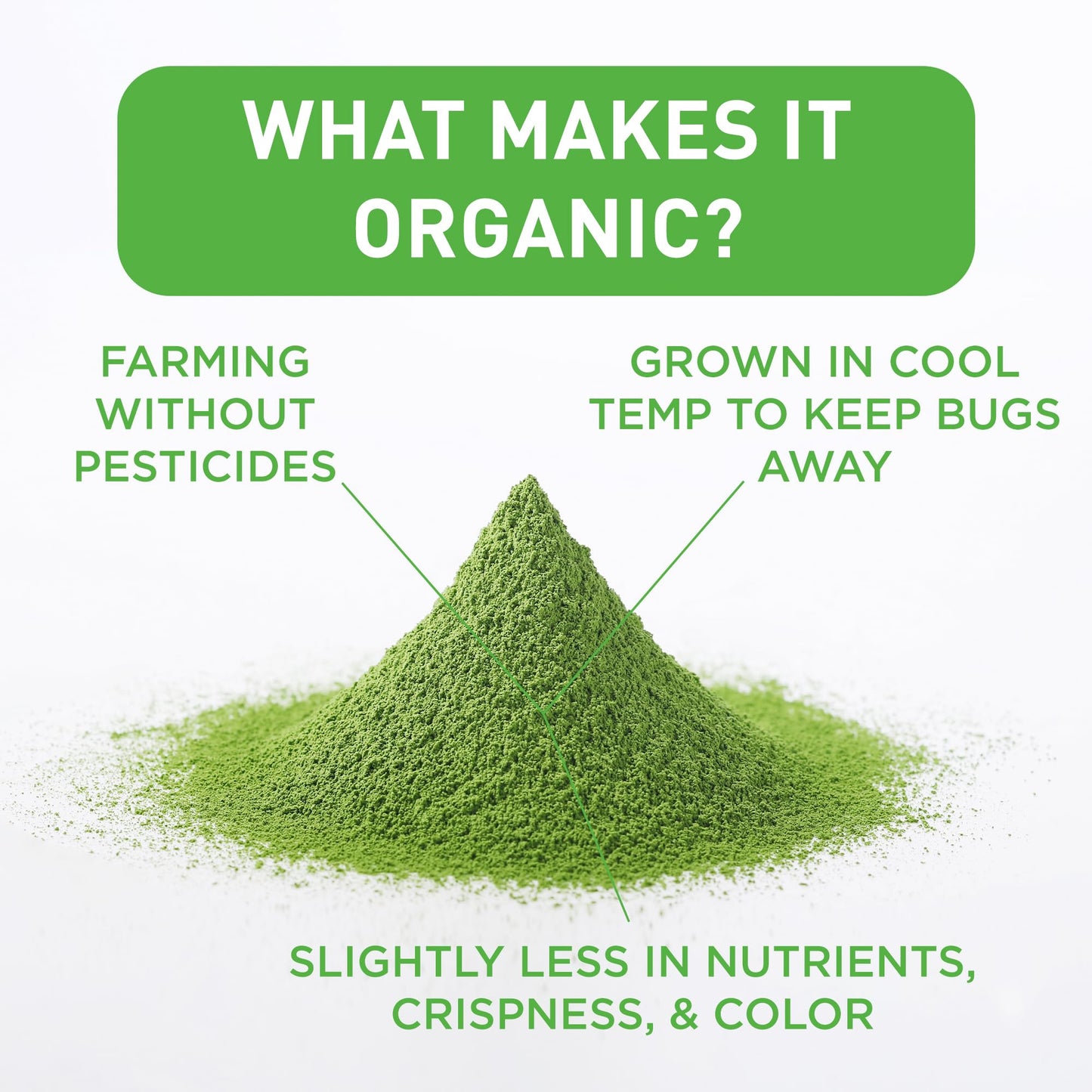 Aiya Certified USDA Organic Culinary Grade Matcha Green Tea Powder - Ideal for Baking, Lattes, Smoothies - Gluten-Free & Non-GMO - 100g Bag (3.52 oz)