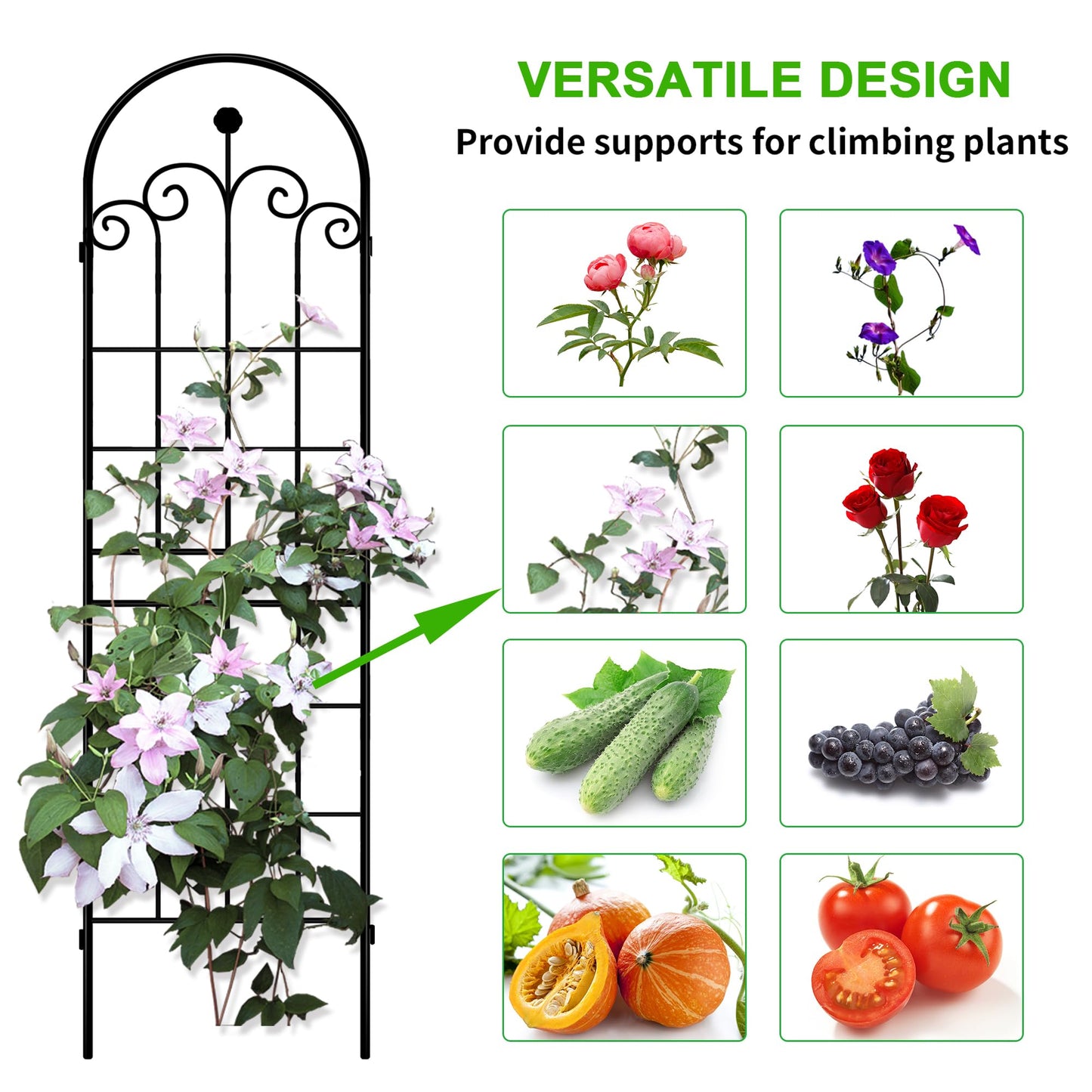 LZRS 4 Pack 71x20in Rustic Iron Arch Decoration Garden Trellis with Black Metal Coating – Perfect for Supporting Climbing Plants Outdoor, Roses, Vines, Flowers, and Vegetables.