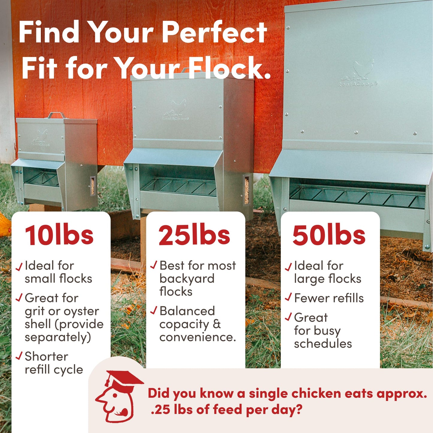RentACoop Metal Trough Feeder with Lid & Rain Cover – Galvanized Steel, Gravity-Fed – Side View Window – Moveable Grate for Easy Cleaning – Suitable for Chickens, Ducks, Poultry & More – 50lb Capacity