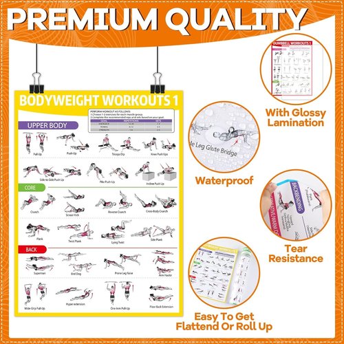 Gisgfim Workout Posters - 6PCS Home Gym Exercise Charts for Dumbbell & Bodyweight Stretching
